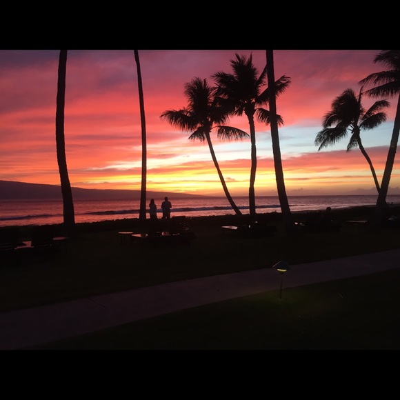 Meet your Posher, Carla - Picture 2 of 2